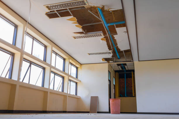 Best Flooded house restoration  in Lockport Heights, IL