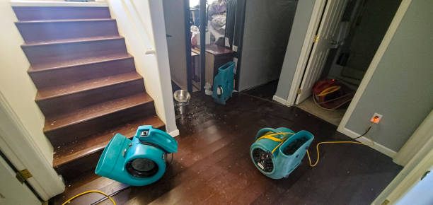 Best Carpet water damage restoration  in Lockport Heights, IL