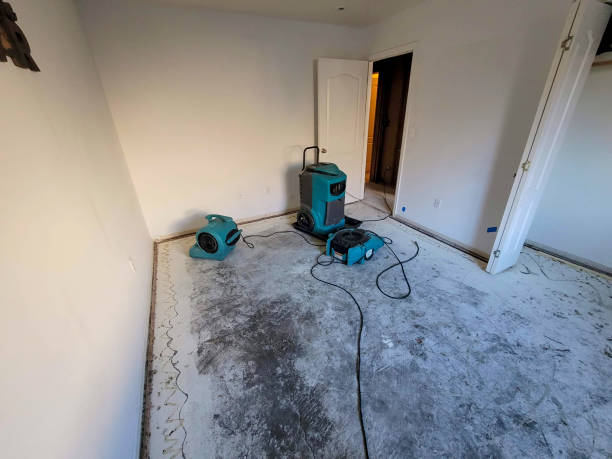 Best Emergency water damage restoration  in Lockport Heights, IL