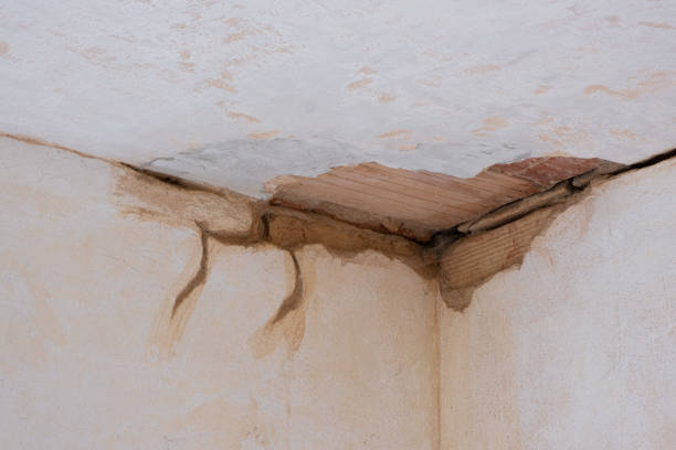 Best Basement water damage restoration  in Lockport Heights, IL