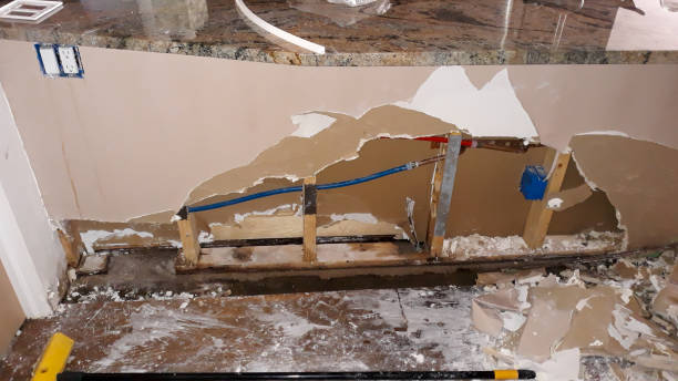 Best Carpet water damage restoration  in Lockport Heights, IL