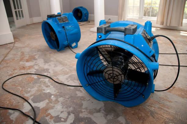 Best Fire Damage Restoration  in Lockport Heights, IL