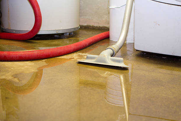 Best Mold removal after water damage  in Lockport Heights, IL