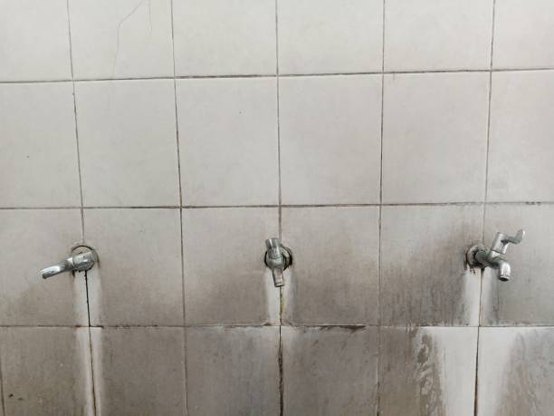  Lockport Heights, IL Water damage restoration Pros