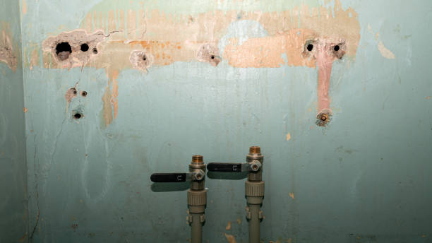 Best Water damage restoration insurance claims  in Lockport Heights, IL