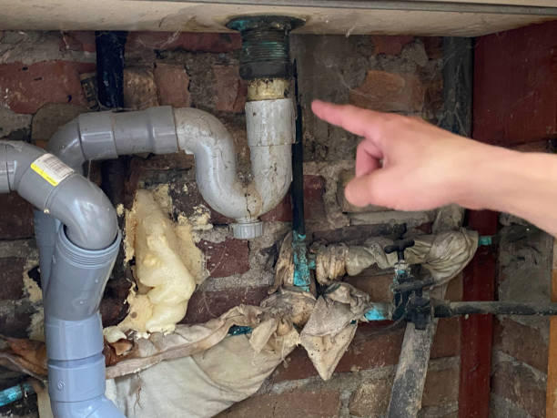Best Water damage restoration near me  in Lockport Heights, IL