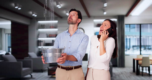 Best Local water damage restoration  in Lockport Heights, IL