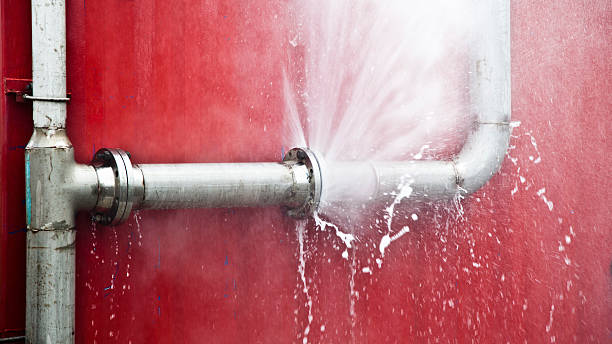 Best Water damage restoration mold remediation  in Lockport Heights, IL